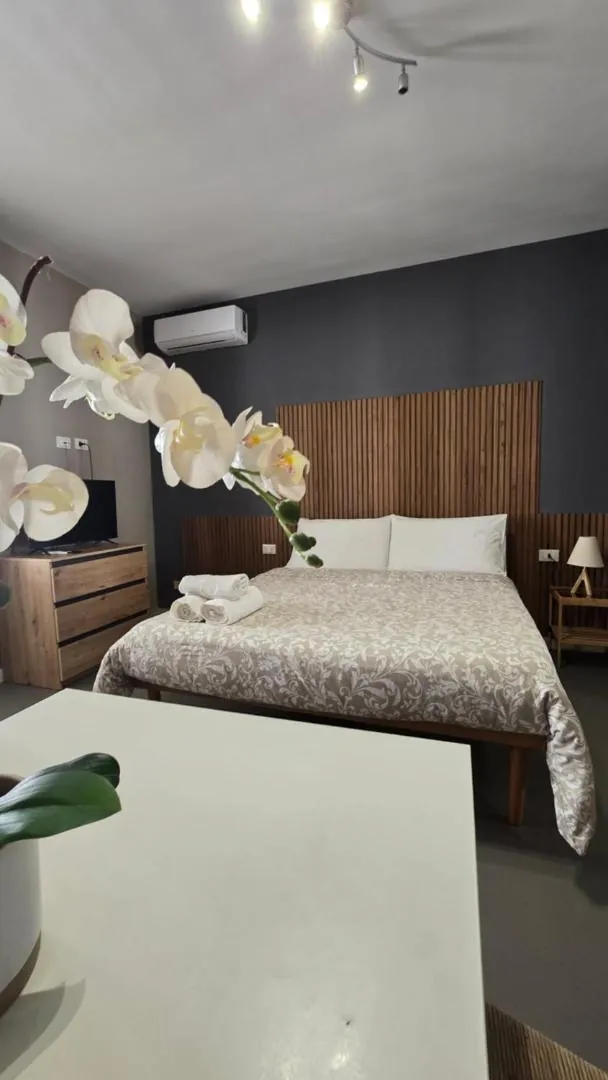 House Orlando 7
